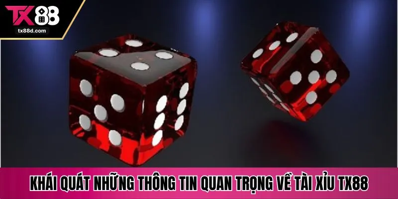 Khái quát những thông tin quan trọng về tài xỉu TX88